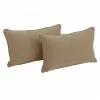 Discount 🎉 Blazing Needles Lumbar Support 20-inch Pillows (Set Of 2) Sage ✨